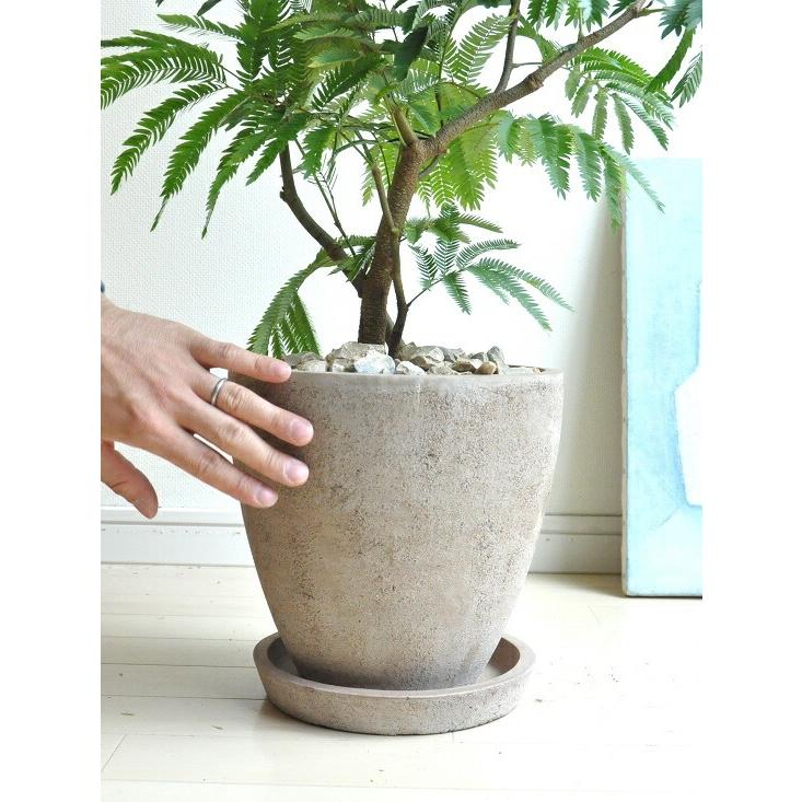 エバーフレッシュ （茶色） エッグ型 ラウンド 陶器鉢 ネムノキ アカ