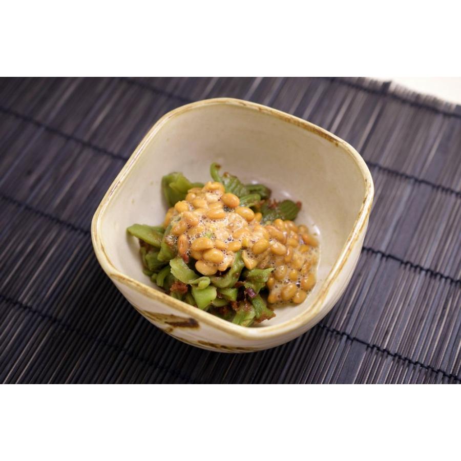 梅香山珍菜 【業務用】1kg×15袋_2