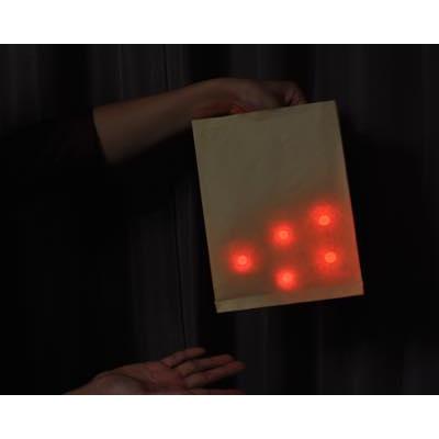 バック・オー・ライト Olight オーライト OBAG EDCS 収納バッグ