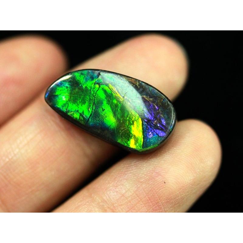 【USAツーソンミネラルショー商品】超激レア！虹色に輝くイリデッセンス★アンモナイト化石宝石★7000万年の奇跡★カナダ産/宝石ルース（裸石）/アンモライト（A 