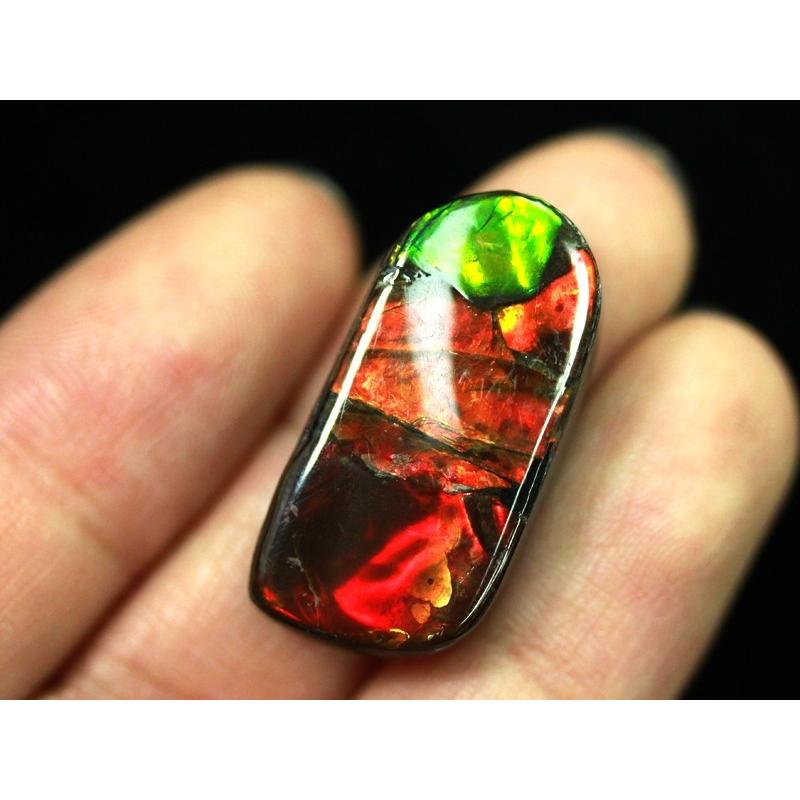 [即日発送] 【USAツーソンミネラルショー商品】超激レア！虹色に輝くイリデッセンス★アンモナイト化石宝石★7000万年の奇跡★カナダ産/宝石ルース（裸石）/アンモライト（A 【W3409234000】(17534円)