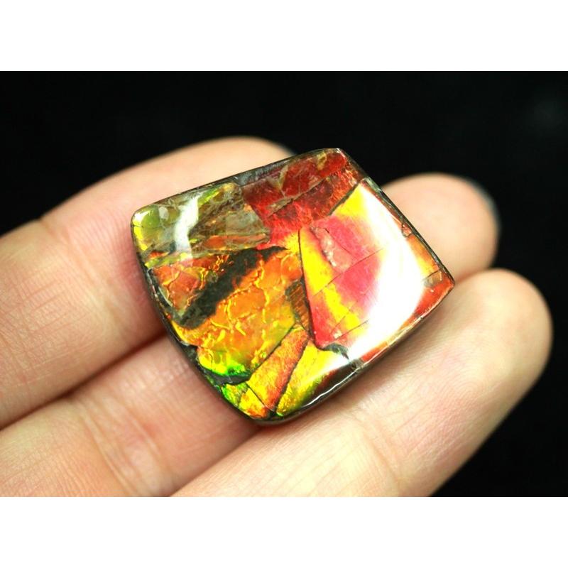 【希少品】 【USAツーソンミネラルショー商品】超激レア！虹色に輝くイリデッセンス★アンモナイト化石宝石★7000万年の奇跡★カナダ産/宝石ルース（裸石）/アンモライト（A 【AAA9042237947】(32022円)