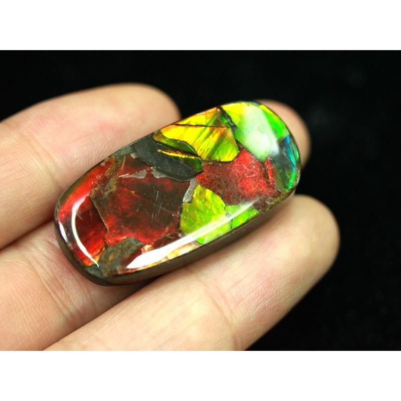 本日価格！！ 【USAツーソンミネラルショー商品】超激レア！虹色に輝くイリデッセンス★アンモナイト化石宝石★7000万年の奇跡★カナダ産/宝石ルース（裸石）/アンモライト（A 【ZYX7801194565】(27627円)