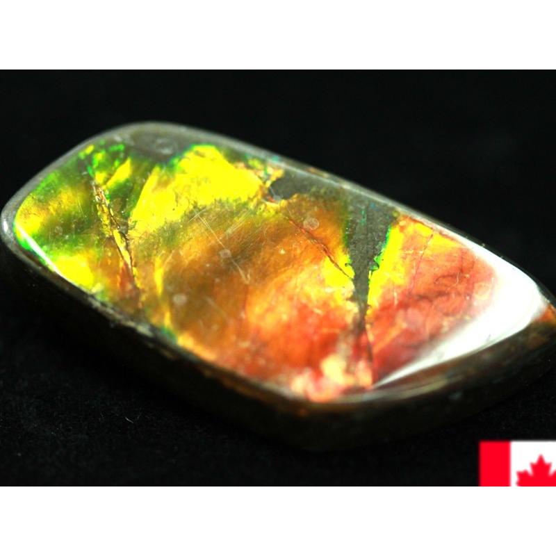 【USAツーソンミネラルショー商品】超激レア！虹色に輝くイリデッセンス★アンモナイト化石宝石★7000万年の奇跡★カナダ産/宝石ルース（裸石）/アンモライト（A