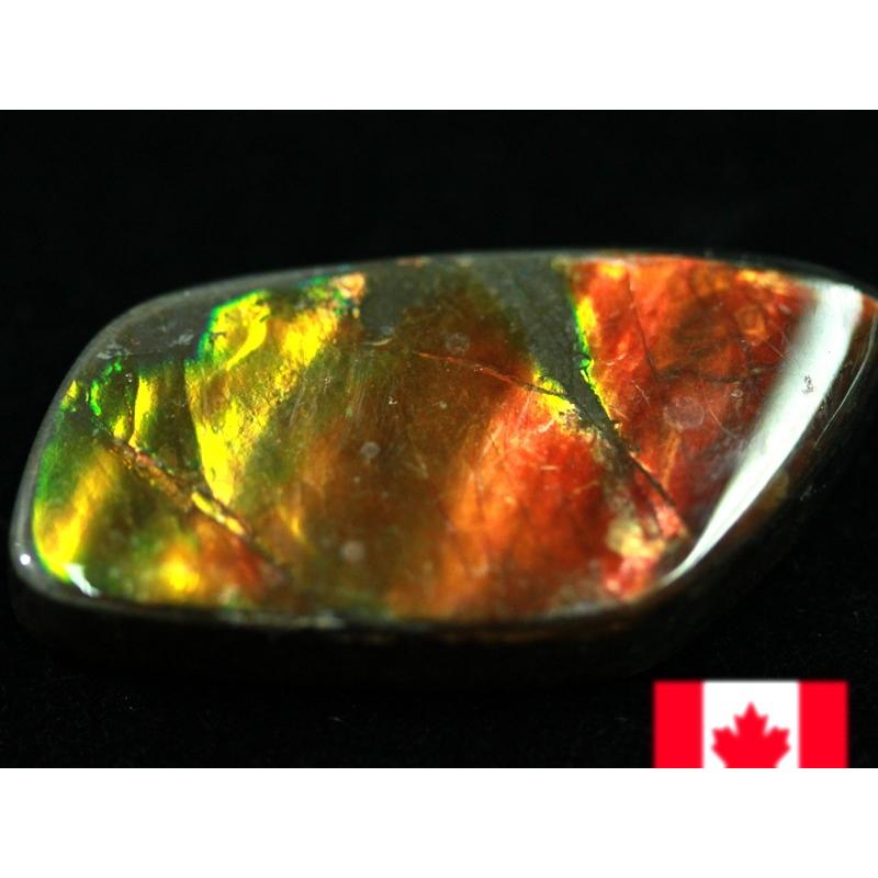 【USAツーソンミネラルショー商品】超激レア！虹色に輝くイリデッセンス★アンモナイト化石宝石★7000万年の奇跡★カナダ産/宝石ルース（裸石）/アンモライト（A 