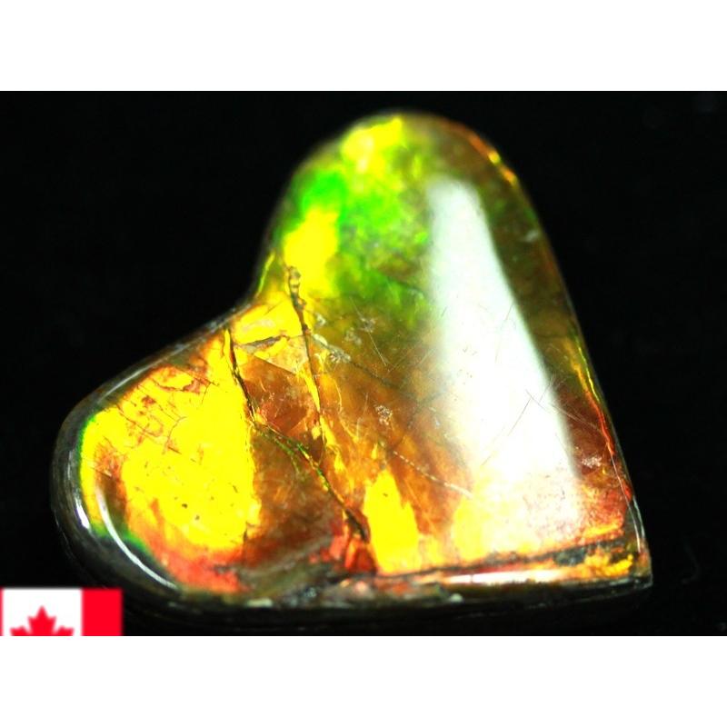 【USAツーソンミネラルショー商品】超激レア！虹色に輝くイリデッセンス★アンモナイト化石宝石★7000万年の奇跡★カナダ産/宝石ルース（裸石）/アンモライト（A