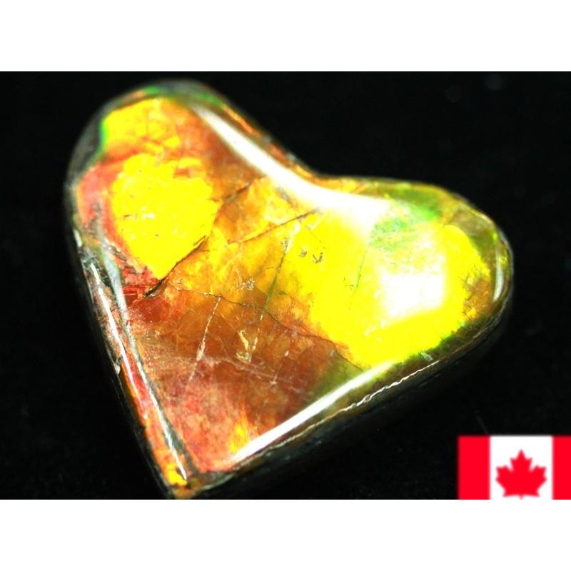 【中古品 】 【USAツーソンミネラルショー商品】超激レア！虹色に輝くイリデッセンス★アンモナイト化石宝石★7000万年の奇跡★カナダ産/宝石ルース（裸石）/アンモライト（A 【XUR5591883515】(19803円)