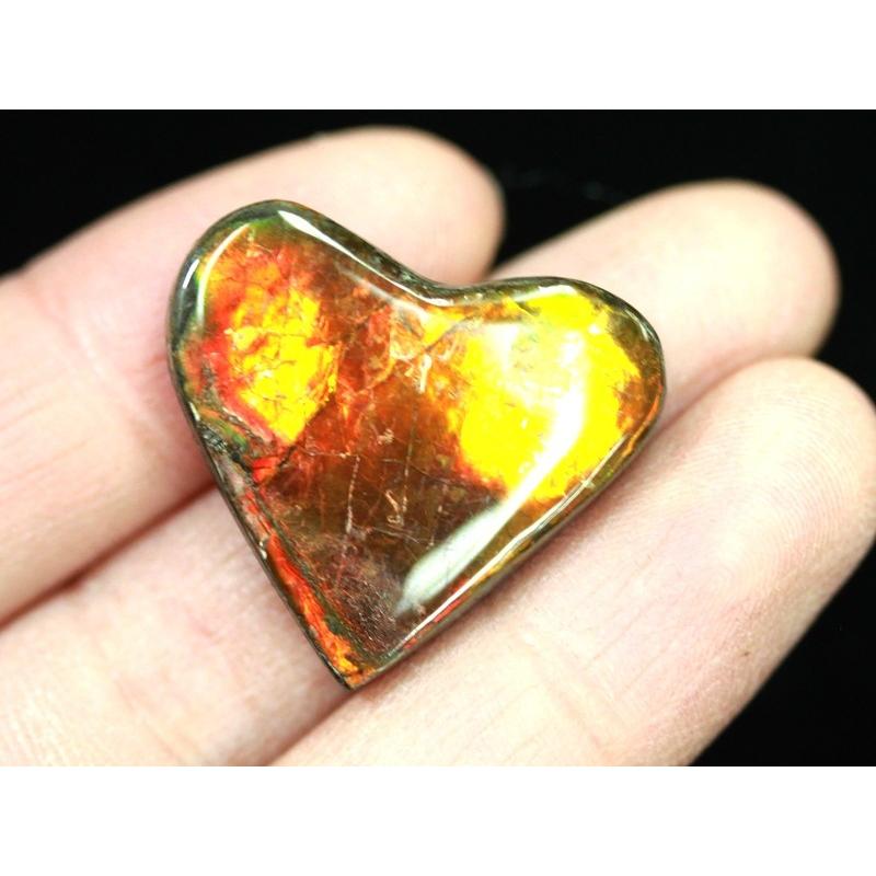 【中古品 】 【USAツーソンミネラルショー商品】超激レア！虹色に輝くイリデッセンス★アンモナイト化石宝石★7000万年の奇跡★カナダ産/宝石ルース（裸石）/アンモライト（A 【XUR5591883515】(19803円)