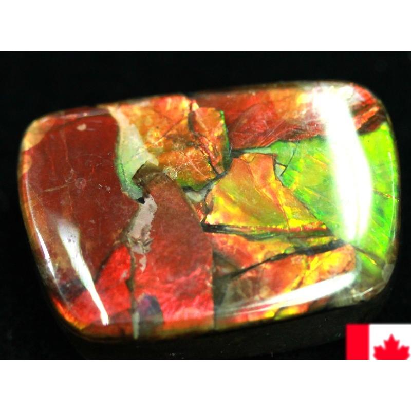 【希少】 【USAツーソンミネラルショー商品】超激レア！虹色に輝くイリデッセンス★アンモナイト化石宝石★7000万年の奇跡★カナダ産/宝石ルース（裸石）/アンモライト（A 【WS5591881368】(19803円)