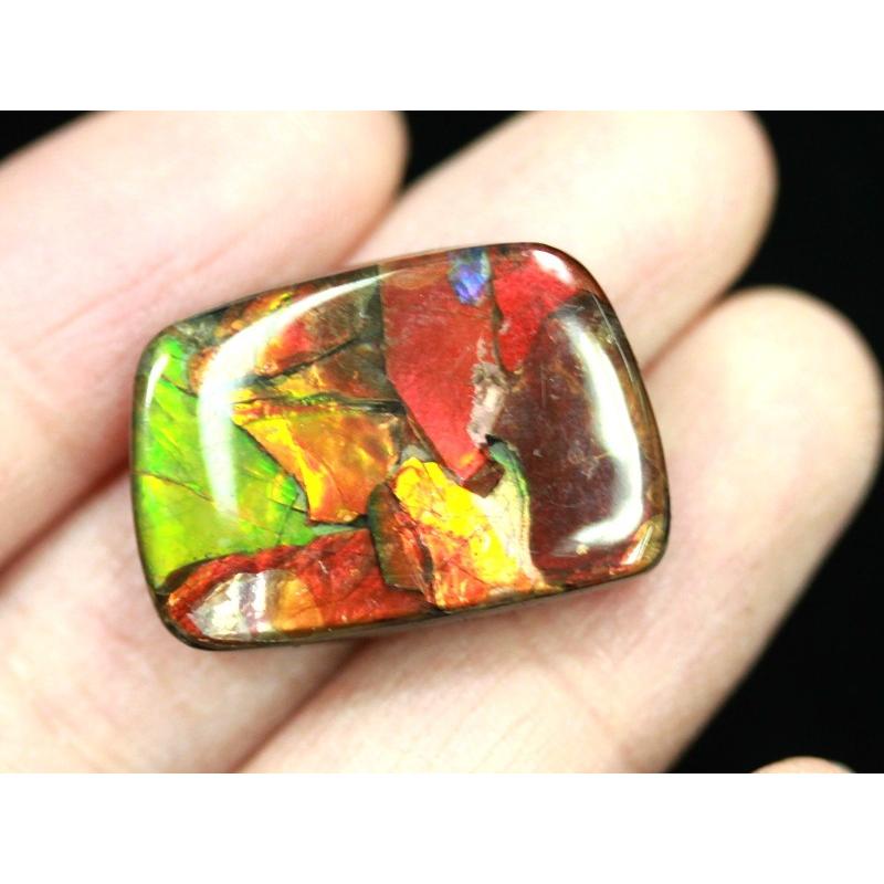 【希少】 【USAツーソンミネラルショー商品】超激レア！虹色に輝くイリデッセンス★アンモナイト化石宝石★7000万年の奇跡★カナダ産/宝石ルース（裸石）/アンモライト（A 【WS5591881368】(19803円)