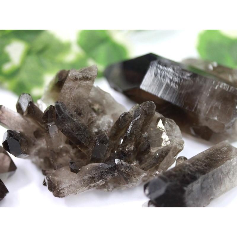 ティラノサウルス 化石 骨 本物 アメリカ産 35mm ケース付き tb122 ティラノサウルス 化石 骨 本物 アメリカ産 35mm ケース付き