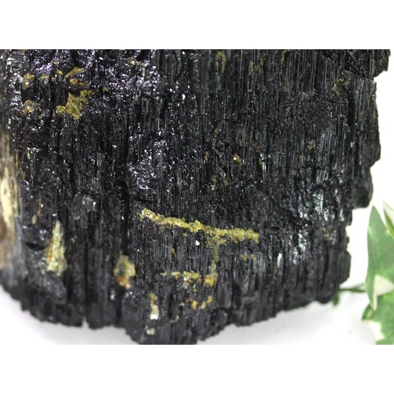 USAツーソンミネラルショー商品】巨大サイズ☆漆黒の艶☆美結晶☆鉱物