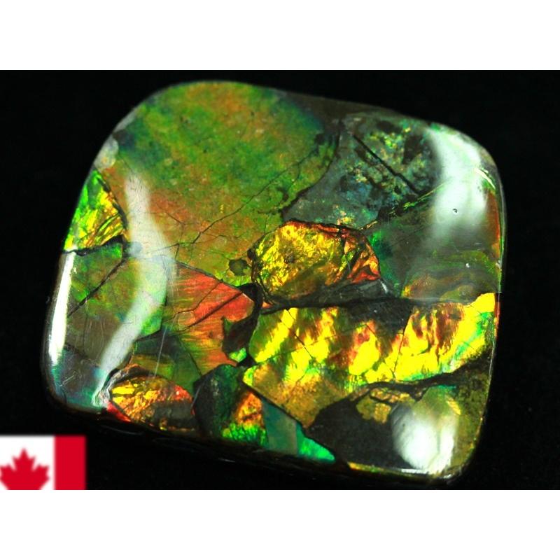 幸運の宝石アンモナイトの化石 約15cm 虹色 コレクション Amazon.co.jp