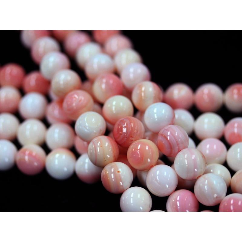 高発色！女王のピンク☆天然ビーズ/クイーンコンクシェル(コンク