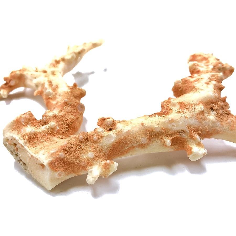激レア！★完全天然★高品質、日本産★天然石/高知県沖/天然ピンク珊瑚(Coral)/原木/1個【天然石/パワーストーン】【アメリカツーソン・香港展示会・世界各地出_2