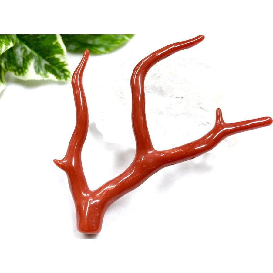 激レア！★完全天然！高発色レッド★高品質、地中海産★天然石/地中海産/胡渡珊瑚/天然赤珊瑚(レッドコーラル/胡渡珊瑚/紅さんご/サルジ/coral)/原木/1個【天然