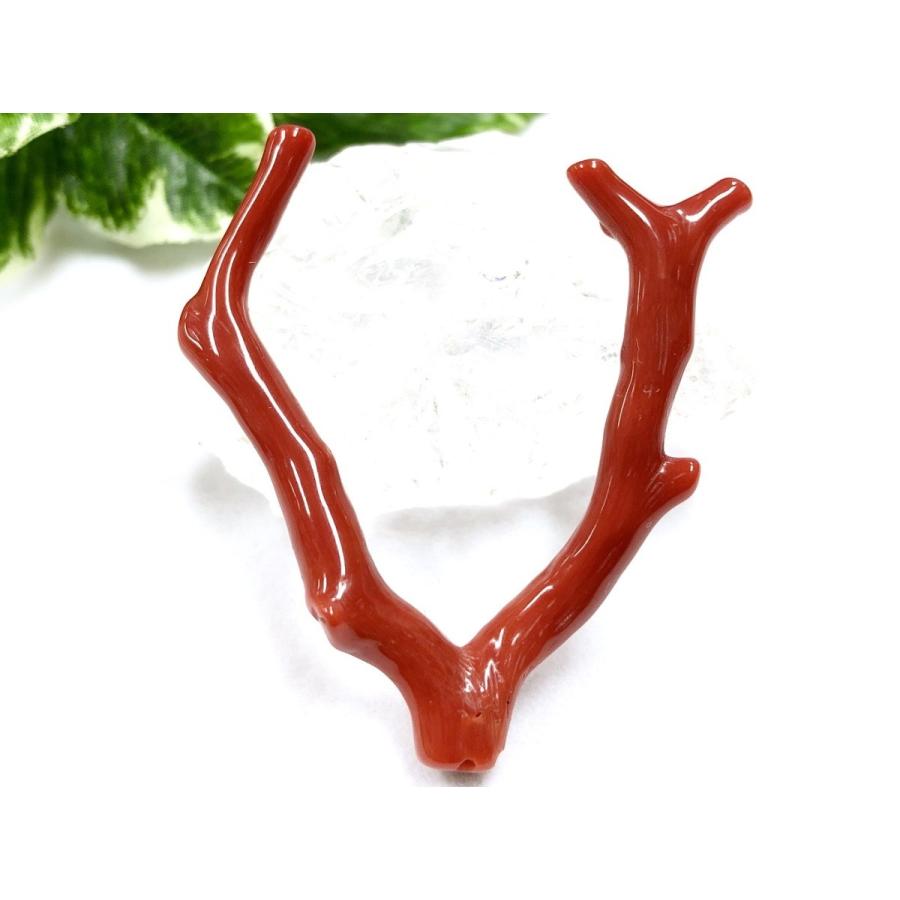 激レア！★完全天然！高発色レッド★高品質、地中海産★天然石/地中海産/胡渡珊瑚/天然赤珊瑚(レッドコーラル/胡渡珊瑚/紅さんご/サルジ/coral)/原木/1個【天然