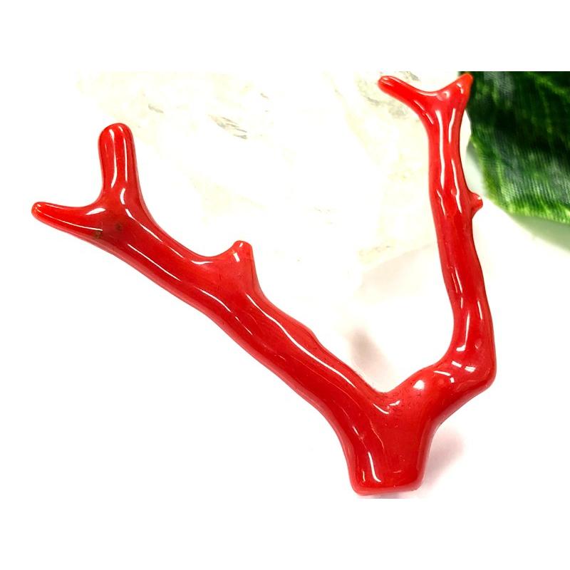 USED 激レア！★完全天然！高発色レッド★高品質、地中海産★天然石/地中海産/胡渡珊瑚/天然赤珊瑚(レッドコーラル/胡渡珊瑚/紅さんご/サルジ/coral)/原木/1個【天然 【2224329749】(11440円)