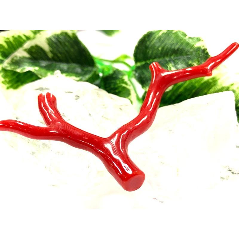 激レア！★完全天然！高発色レッド★高品質、地中海産★天然石/地中海産/胡渡珊瑚/天然赤珊瑚(レッドコーラル/胡渡珊瑚/紅さんご/サルジ/coral)/原木/1個【天然 アクセサリー