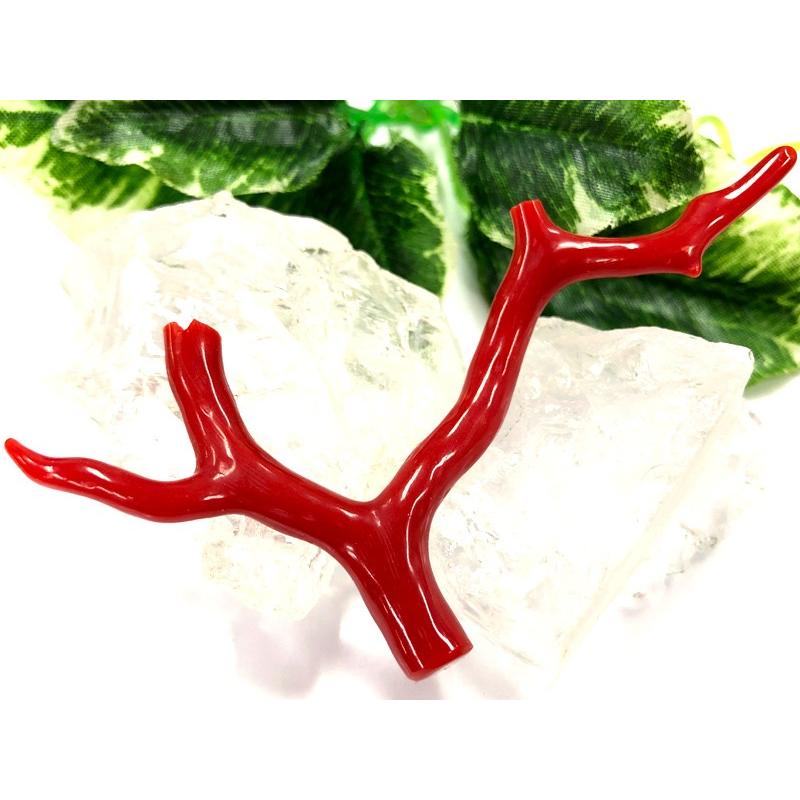 激レア！★完全天然！高発色レッド★高品質、地中海産★天然石/地中海産/胡渡珊瑚/天然赤珊瑚(レッドコーラル/胡渡珊瑚/紅さんご/サルジ/coral)/原木/1個【天然 アクセサリー