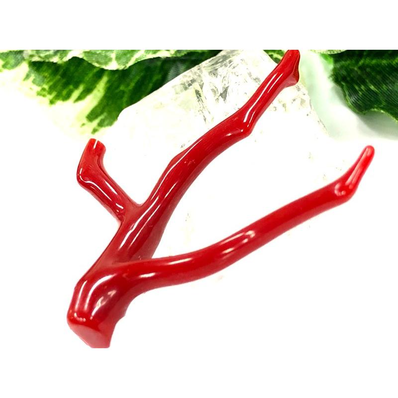 激レア！★完全天然！高発色レッド★高品質、地中海産★天然石/地中海産/胡渡珊瑚/天然赤珊瑚(レッドコーラル/胡渡珊瑚/紅さんご/サルジ/coral)/原木/1個【天然 アクセサリー