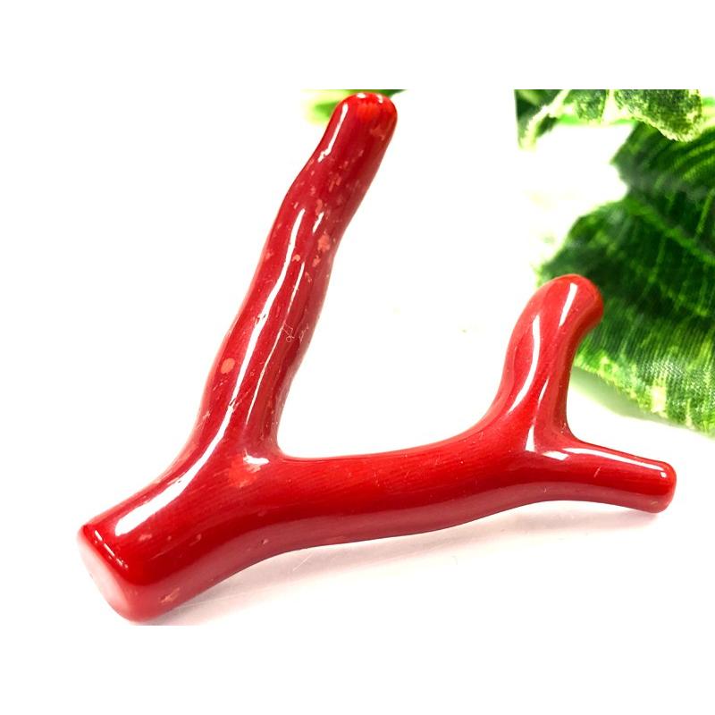 激レア！★完全天然！高発色レッド★高品質、地中海産★天然石/地中海産/胡渡珊瑚/天然赤珊瑚(レッドコーラル/胡渡珊瑚/紅さんご/サルジ/coral)/原木/1個【天然 アクセサリー