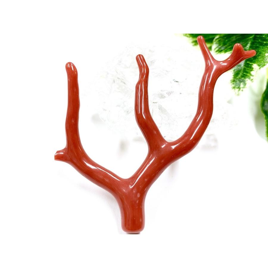 激レア！★完全天然！高発色レッド★高品質、地中海産★天然石/地中海産/胡渡珊瑚/天然赤珊瑚(レッドコーラル/胡渡珊瑚/紅さんご/サルジ/coral)/原木/1個【天然