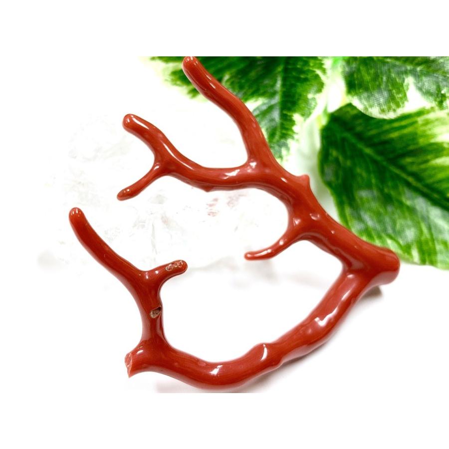 激レア！★完全天然！高発色レッド★高品質、地中海産★天然石/地中海産/胡渡珊瑚/天然赤珊瑚(レッドコーラル/胡渡珊瑚/紅さんご/サルジ/coral)/原木/1個【天然 激レア！★完全天然！高発色レッド★高品質、地中海産★天然石/地中海産/胡渡珊瑚/天然赤珊瑚(レッドコーラル/胡渡珊瑚/紅さんご/サルジ/coral)/原木/1個【天然