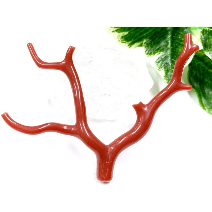 激レア！★完全天然！高発色レッド★高品質、地中海産★天然石/地中海産/胡渡珊瑚/天然赤珊瑚(レッドコーラル/胡渡珊瑚/紅さんご/サルジ/coral)/原木/1個【天然