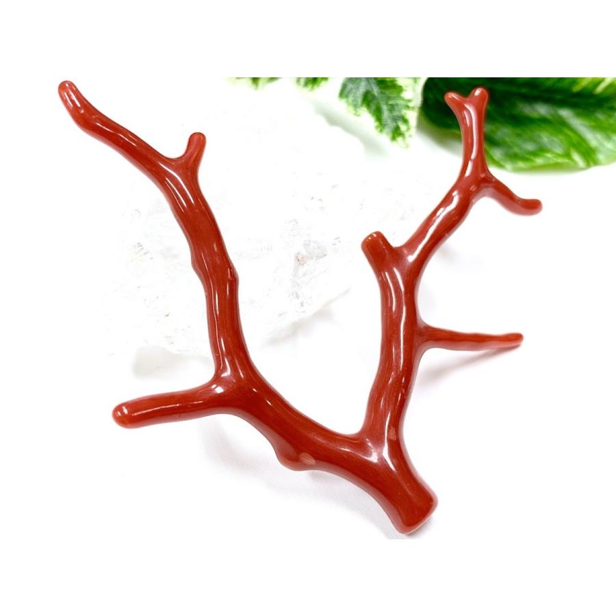 【新入荷】 激レア！★完全天然！高発色レッド★高品質、地中海産★天然石/地中海産/胡渡珊瑚/天然赤珊瑚(レッドコーラル/胡渡珊瑚/紅さんご/サルジ/coral)/原木/1個【天然 【KUE7762750164】(27491円)