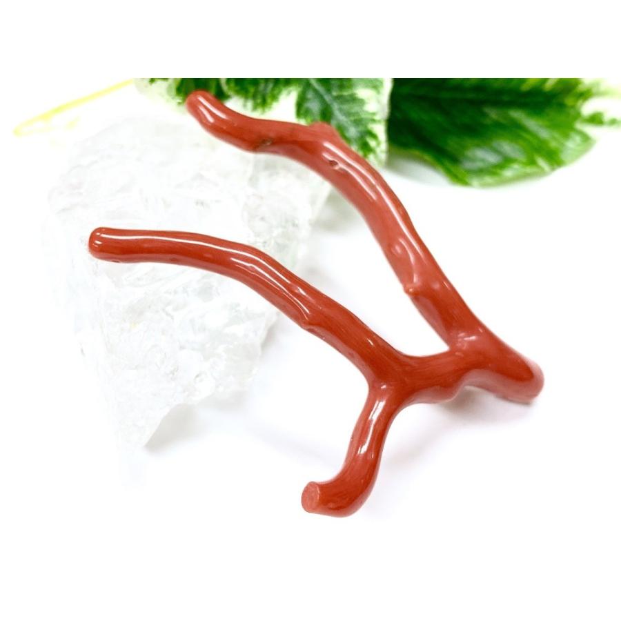 激レア！★完全天然！高発色レッド★高品質、地中海産★天然石/地中海産/胡渡珊瑚/天然赤珊瑚(レッドコーラル/胡渡珊瑚/紅さんご/サルジ/coral)/原木/1個【天然 アクセサリー