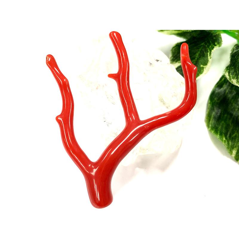 激レア！★完全天然！高発色レッド★高品質、地中海産★天然石/地中海産/胡渡珊瑚/天然赤珊瑚(レッドコーラル/胡渡珊瑚/紅さんご/サルジ/coral)/原木/1個【天然 アクセサリー