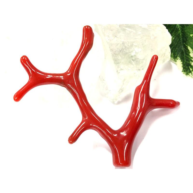 激レア！★完全天然！高発色レッド★高品質、地中海産★天然石/地中海産/胡渡珊瑚/天然赤珊瑚(レッドコーラル/胡渡珊瑚/紅さんご/サルジ/coral)/原木/1個【天然