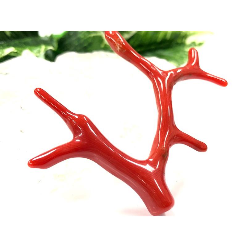 激レア！★完全天然！高発色レッド★高品質、地中海産★天然石/地中海産/胡渡珊瑚/天然赤珊瑚(レッドコーラル/胡渡珊瑚/紅さんご/サルジ/coral)/原木/1個【天然 アクセサリー