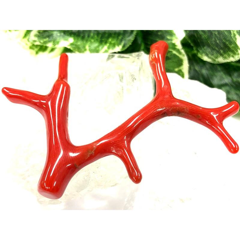 激レア！★完全天然！高発色レッド★高品質、地中海産★天然石/地中海産/胡渡珊瑚/天然赤珊瑚(レッドコーラル/胡渡珊瑚/紅さんご/サルジ/coral)/原木/1個【天然 アクセサリー