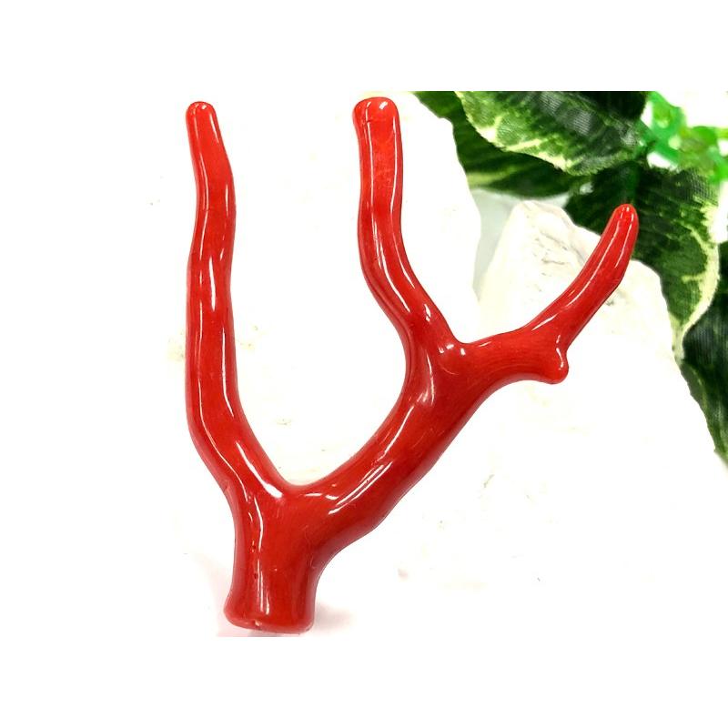 【訳あり品】 激レア！★完全天然！高発色レッド★高品質、地中海産★天然石/地中海産/胡渡珊瑚/天然赤珊瑚(レッドコーラル/胡渡珊瑚/紅さんご/サルジ/coral)/原木/1個【天然 【3359613136】(17279円)