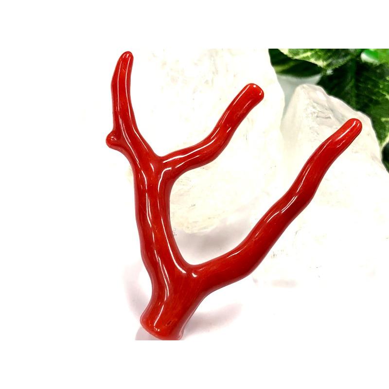 【訳あり品】 激レア！★完全天然！高発色レッド★高品質、地中海産★天然石/地中海産/胡渡珊瑚/天然赤珊瑚(レッドコーラル/胡渡珊瑚/紅さんご/サルジ/coral)/原木/1個【天然 【3359613136】(17279円)