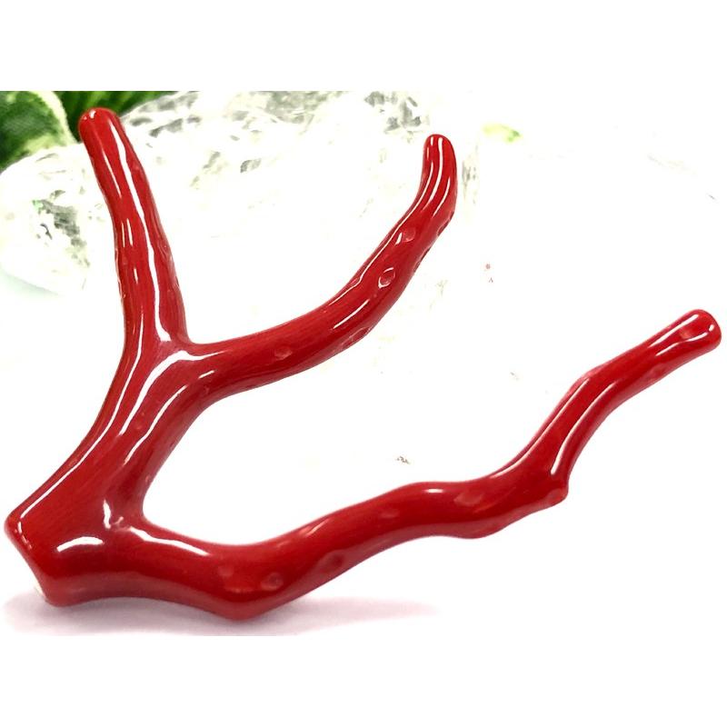 激レア！★完全天然！高発色レッド★高品質、地中海産★天然石/地中海産/胡渡珊瑚/天然赤珊瑚(レッドコーラル/胡渡珊瑚/紅さんご/サルジ/coral)/原木/1個【天然 アクセサリー