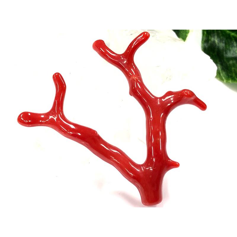 激レア！★完全天然！高発色レッド★高品質、地中海産★天然石/地中海産/胡渡珊瑚/天然赤珊瑚(レッドコーラル/胡渡珊瑚/紅さんご/サルジ/coral)/原木/1個【天然