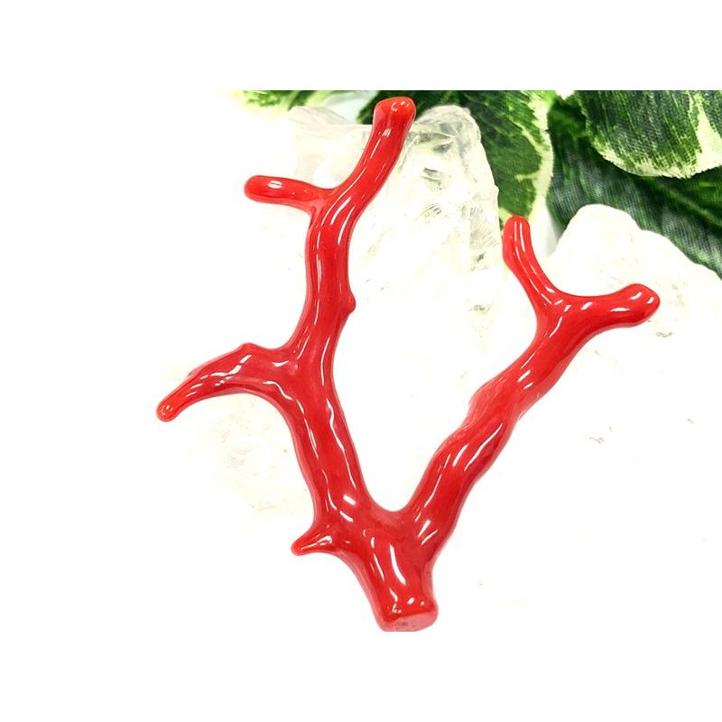 激レア！★完全天然！高発色レッド★高品質、地中海産★天然石/地中海産/胡渡珊瑚/天然赤珊瑚(レッドコーラル/胡渡珊瑚/紅さんご/サルジ/coral)/原木/1個【天然 アクセサリー