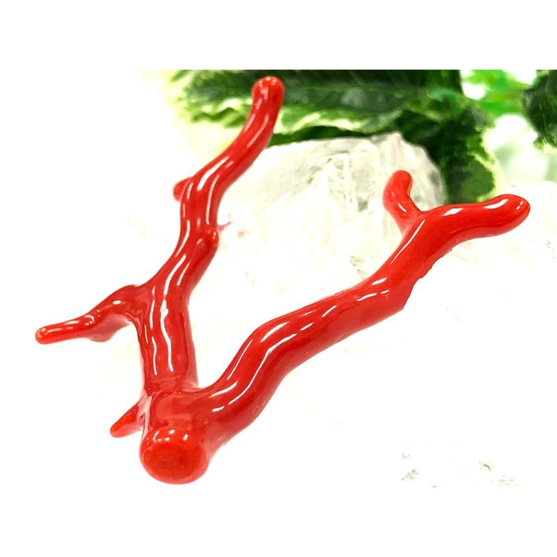 激レア！★完全天然！高発色レッド★高品質、地中海産★天然石/地中海産/胡渡珊瑚/天然赤珊瑚(レッドコーラル/胡渡珊瑚/紅さんご/サルジ/coral)/原木/1個【天然 アクセサリー