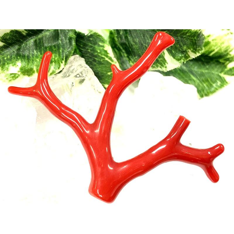 激レア！★完全天然！高発色レッド★高品質、地中海産★天然石/地中海産/胡渡珊瑚/天然赤珊瑚(レッドコーラル/胡渡珊瑚/紅さんご/サルジ/coral)/原木/1個【天然 アクセサリー