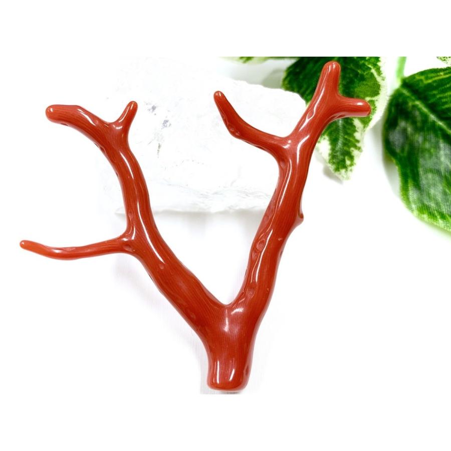 激レア！★完全天然！高発色レッド★高品質、地中海産★天然石/地中海産/胡渡珊瑚/天然赤珊瑚(レッドコーラル/胡渡珊瑚/紅さんご/サルジ/coral)/原木/1個【天然 アクセサリー