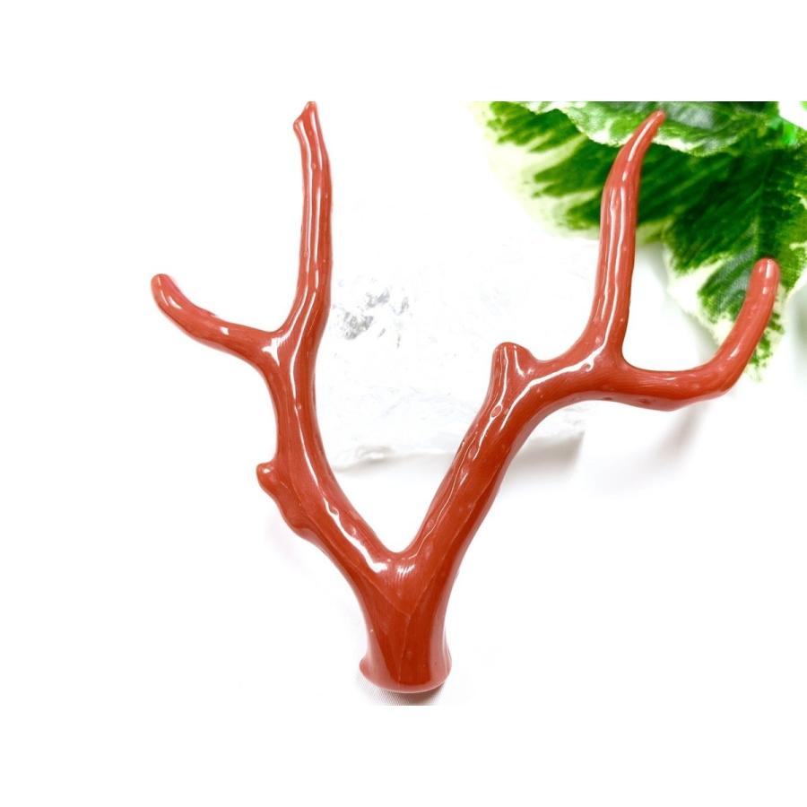 【最終】 激レア！★完全天然！高発色レッド★高品質、地中海産★天然石/地中海産/胡渡珊瑚/天然赤珊瑚(レッドコーラル/胡渡珊瑚/紅さんご/サルジ/coral)/原木/1個【天然 【6880608838】(24367円)