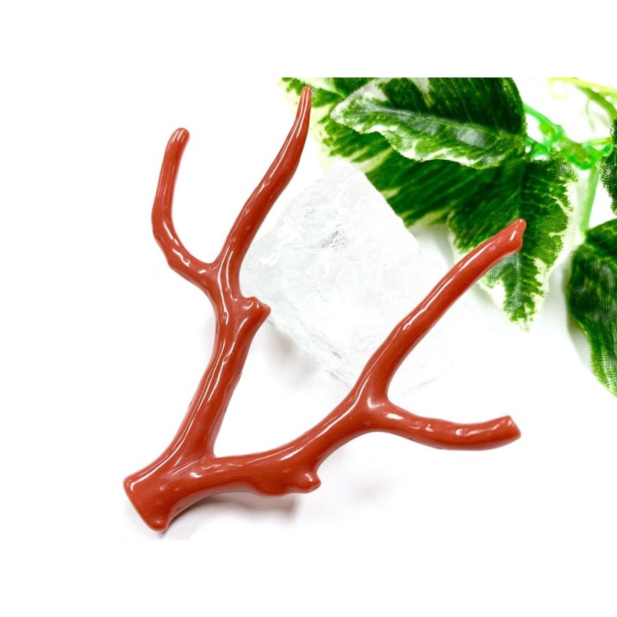 【最終】 激レア！★完全天然！高発色レッド★高品質、地中海産★天然石/地中海産/胡渡珊瑚/天然赤珊瑚(レッドコーラル/胡渡珊瑚/紅さんご/サルジ/coral)/原木/1個【天然 【6880608838】(24367円)