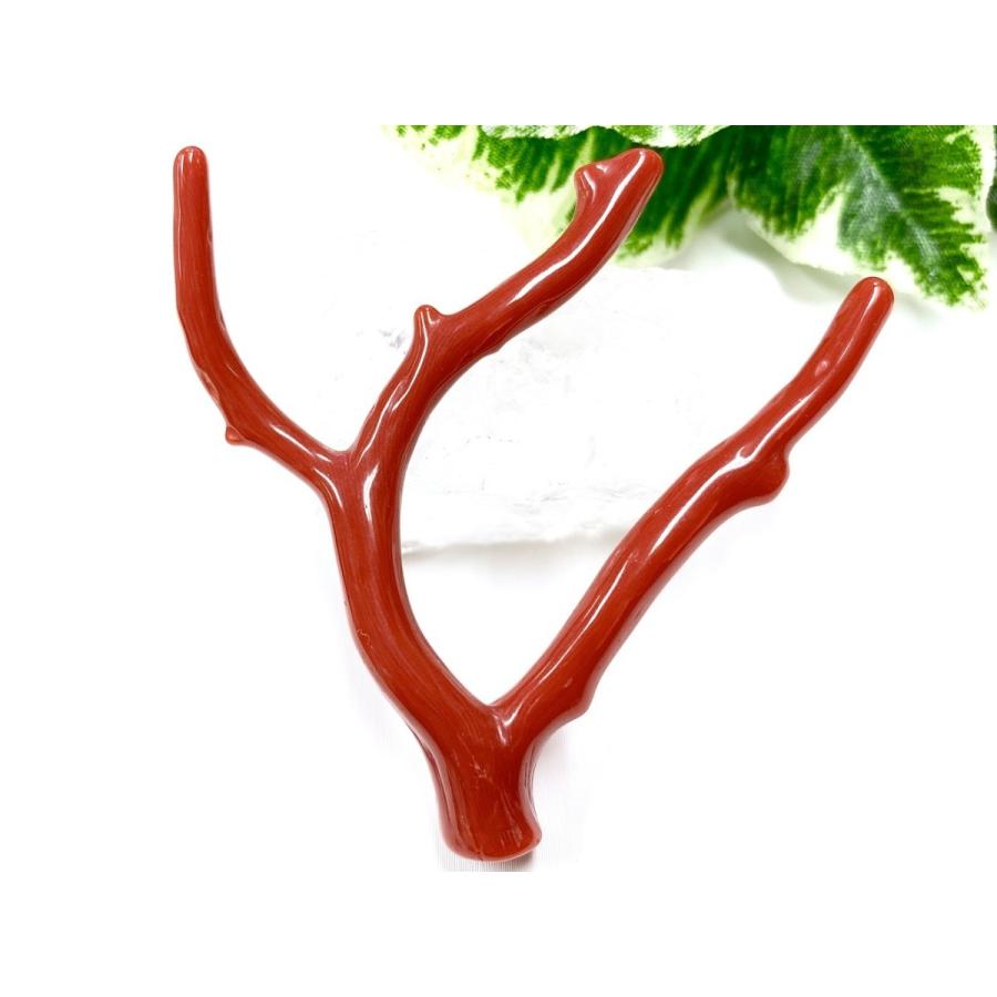 激レア！★完全天然！高発色レッド★高品質、地中海産★天然石/地中海産/胡渡珊瑚/天然赤珊瑚(レッドコーラル/胡渡珊瑚/紅さんご/サルジ/coral)/原木/1個【天然