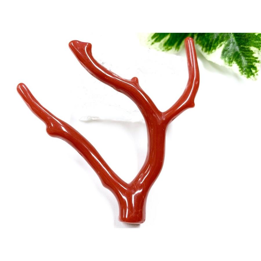 最新 激レア！★完全天然！高発色レッド★高品質、地中海産★天然石/地中海産/胡渡珊瑚/天然赤珊瑚(レッドコーラル/胡渡珊瑚/紅さんご/サルジ/coral)/原木/1個【天然 【G7730547620】(27377円)