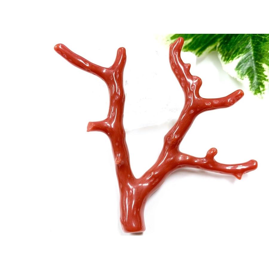 激レア！★完全天然！高発色レッド★高品質、地中海産★天然石/地中海産/胡渡珊瑚/天然赤珊瑚(レッドコーラル/胡渡珊瑚/紅さんご/サルジ/coral)/原木/1個【天然