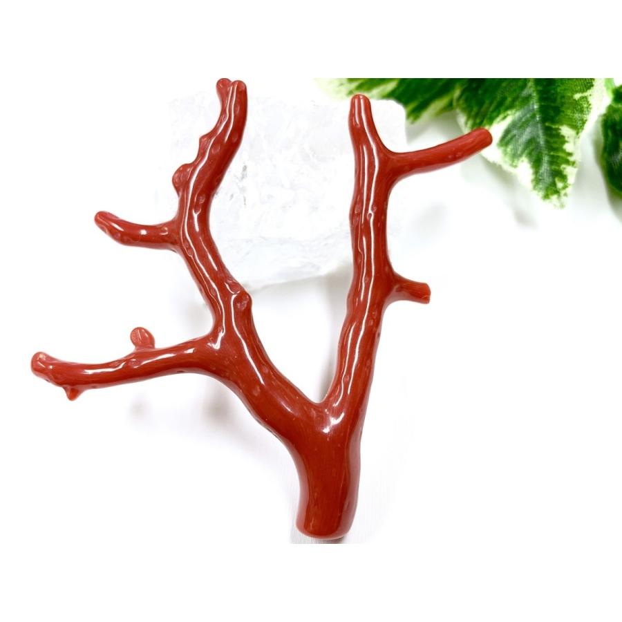 ★レア物 新品未開封 激レア！★完全天然！高発色レッド★高品質、地中海産★天然石/地中海産/胡渡珊瑚/天然赤珊瑚(レッドコーラル/胡渡珊瑚/紅さんご/サルジ/coral)/原木/1個【天然 【EIM7849705479】(27799円)