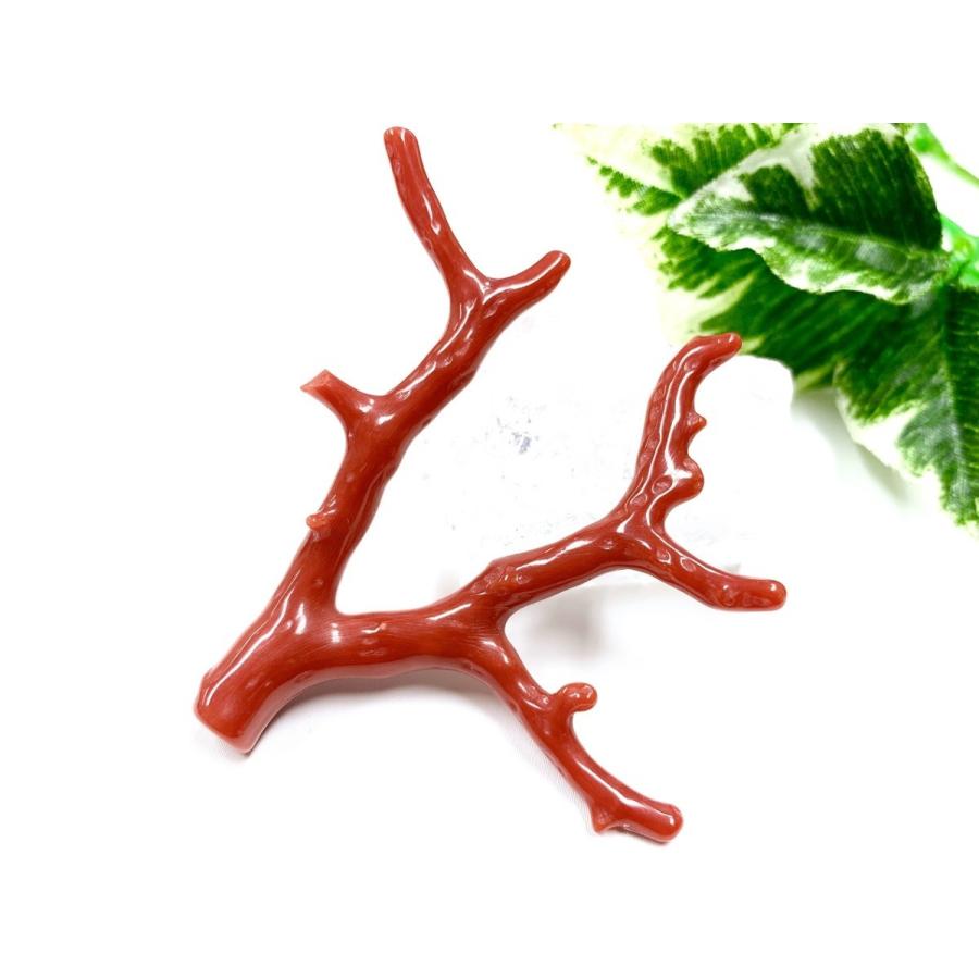 ★レア物 新品未開封 激レア！★完全天然！高発色レッド★高品質、地中海産★天然石/地中海産/胡渡珊瑚/天然赤珊瑚(レッドコーラル/胡渡珊瑚/紅さんご/サルジ/coral)/原木/1個【天然 【EIM7849705479】(27799円)